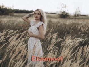Elizamool