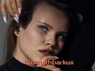 Elswythbarkus