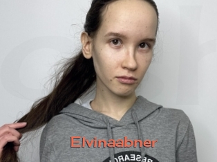 Elvinaabner