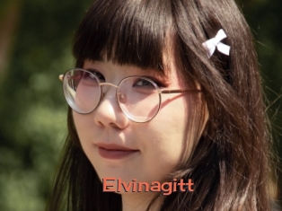 Elvinagitt