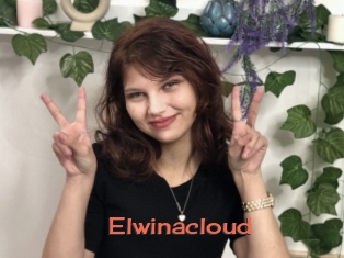 Elwinacloud