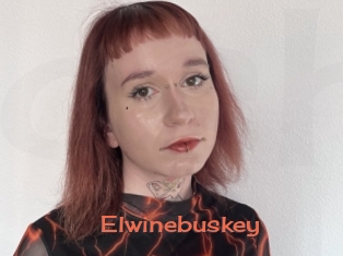 Elwinebuskey