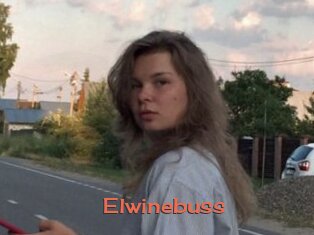 Elwinebuss