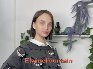 Elwinefountain