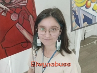 Elwynabuss