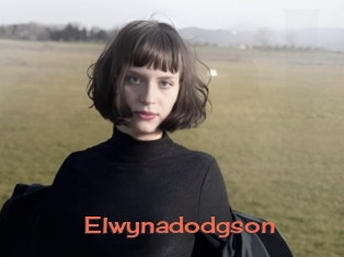 Elwynadodgson