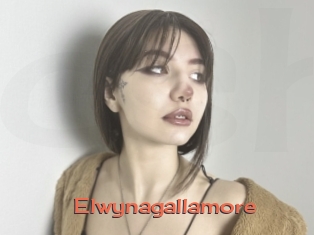 Elwynagallamore