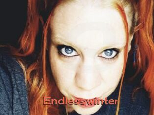 Endlesswinter