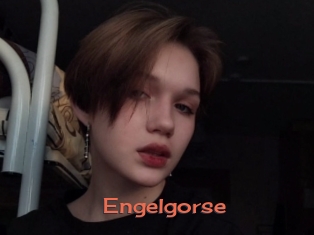 Engelgorse