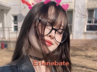 Erlenebate