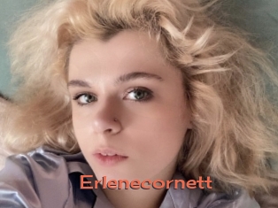 Erlenecornett