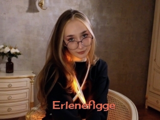 Erlenefigge