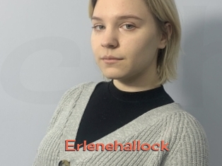 Erlenehallock
