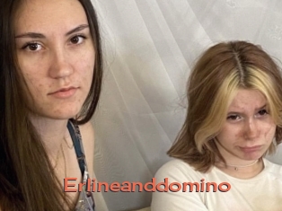 Erlineanddomino