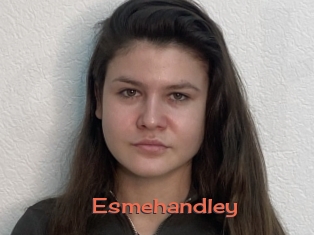 Esmehandley
