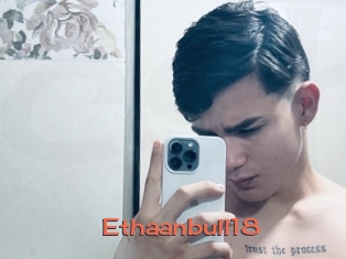 Ethaanbull18