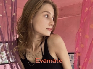 Evamate