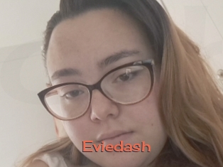 Eviedash