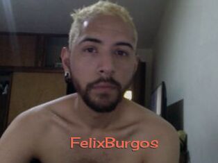 FelixBurgos