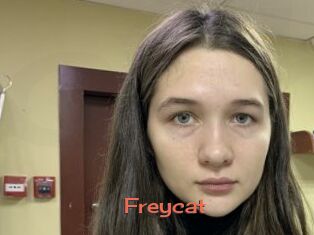 Freycat