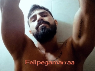 Felipegamarraa