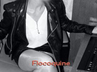 Flocoquine