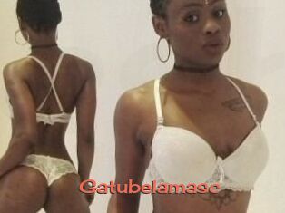 Gatubela_masc