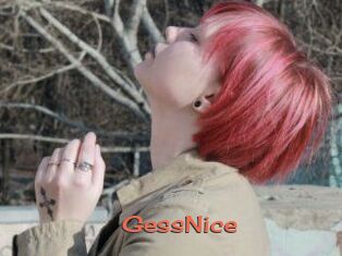 GessNice