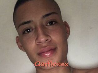 Garfiosex