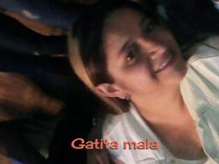 Gatita_mala