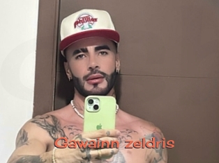 Gawainn_zeldris