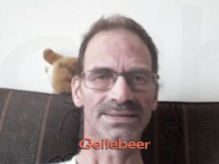 Geilebeer