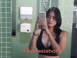 Gennesishot