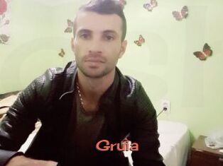 Gruia