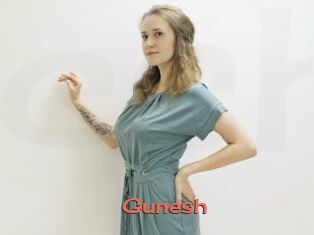 Gunesh