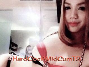 HardCockWildCumTS