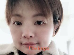 Haringo