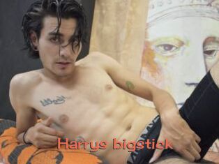 Harrys_bigstick