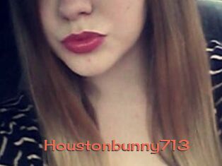 Houstonbunny713