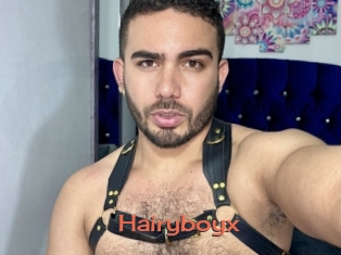 Hairyboyx