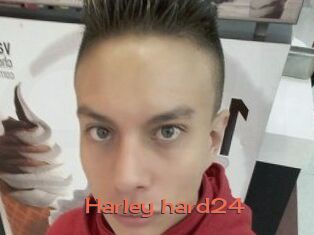 Harley_hard24