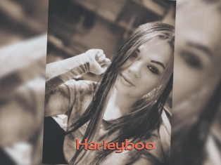 Harleyboo