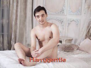 Harrygentle