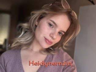 Heidynemzin