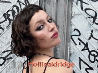 Hollisaldridge