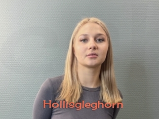 Hollisgleghorn