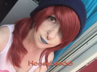 Honeybee66