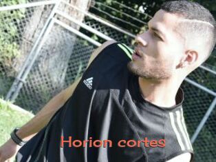 Horion_cortes