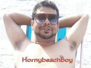 Hornybeachboy