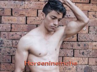 Horsenineinche